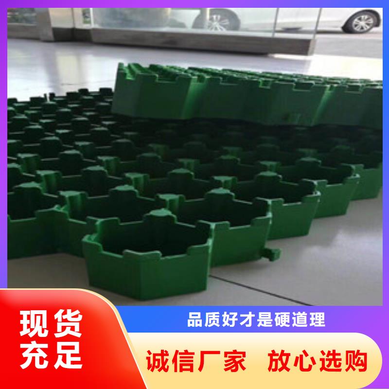 【環保植草格】土工布廠家多種工藝