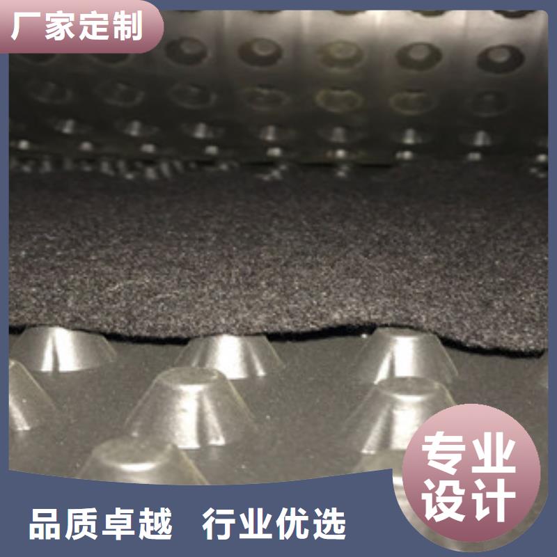 塑料排水板蓄排水板廠家自有生產(chǎn)工廠