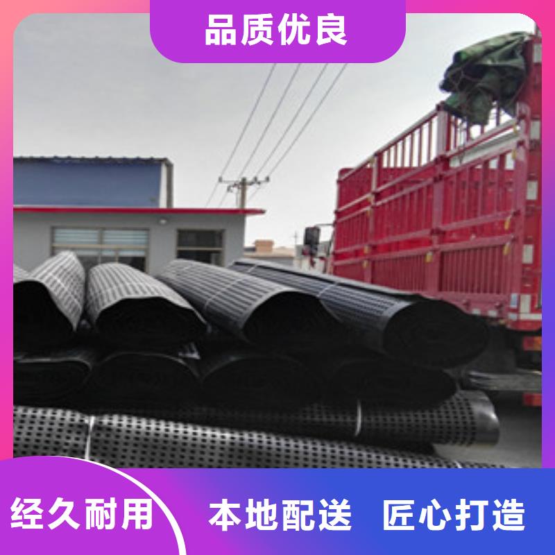 【塑料排水板】,膨润土防水毯厂家推荐厂家