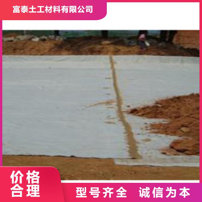 【防水毯】,土工膜廠家一手價格