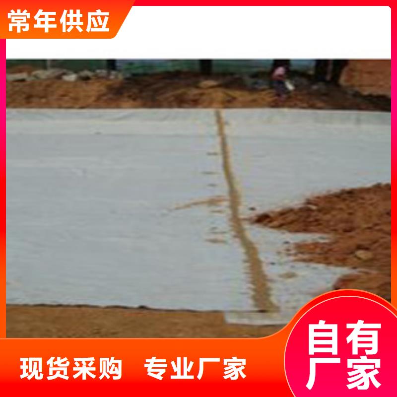 防水毯【膨潤(rùn)土防水毯廠家】一站式采購(gòu)商家