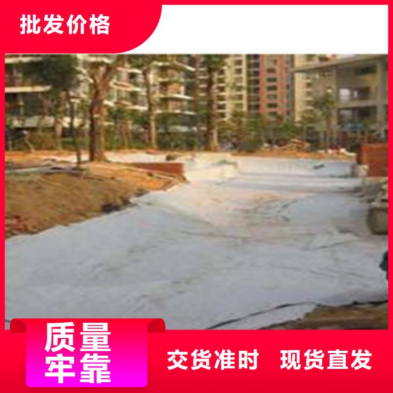 防水毯蓄排水板廠家支持大小批量采購