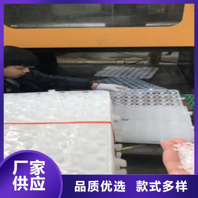 蓄排水板植草格廠家正品保障