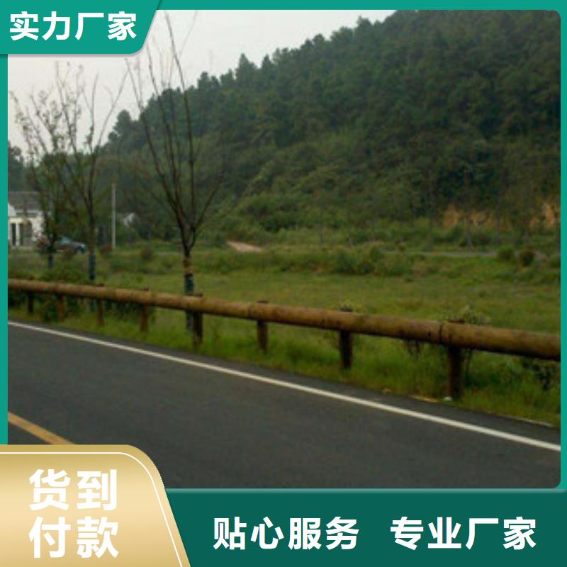 鋼背木護欄道路交通護欄專注品質