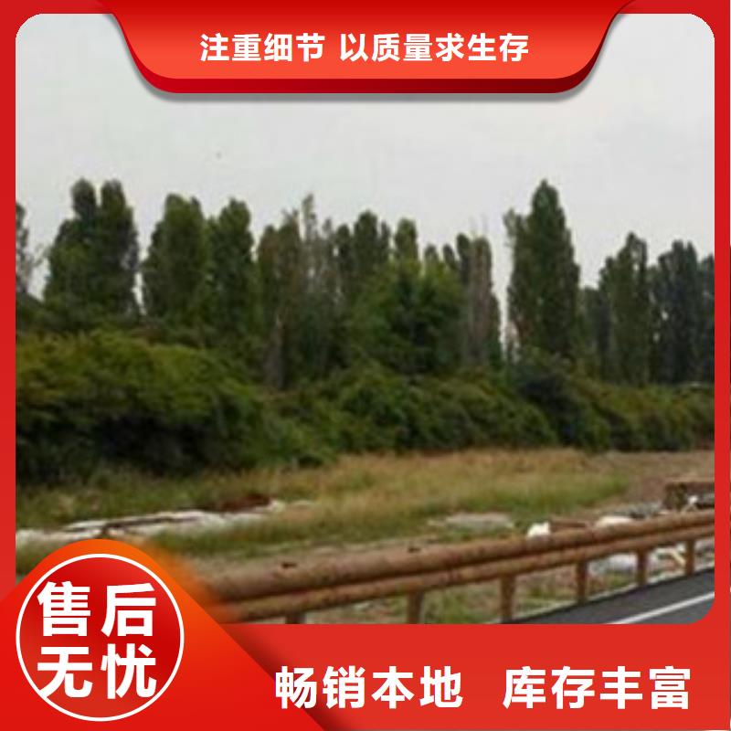 钢背木护栏-道路交通护栏常年供应