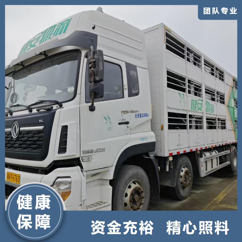 宿遷市泗陽到畜禽運輸信譽卓著
