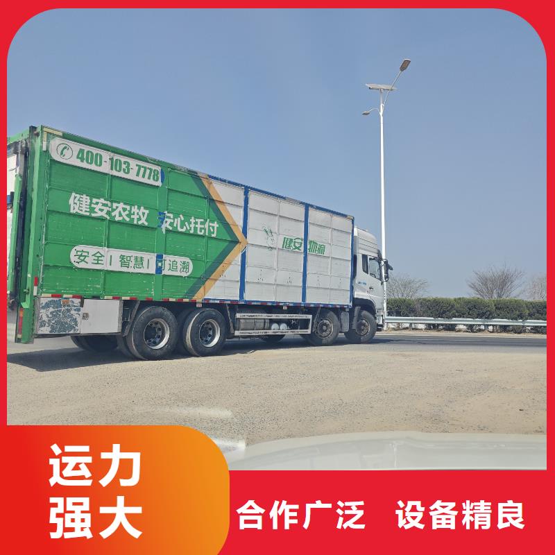 宿遷市沭陽到羊運輸監控到位