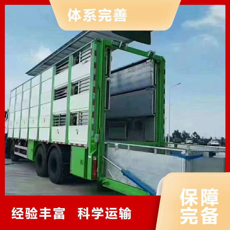 宿遷到生豬物流當(dāng)日發(fā)車