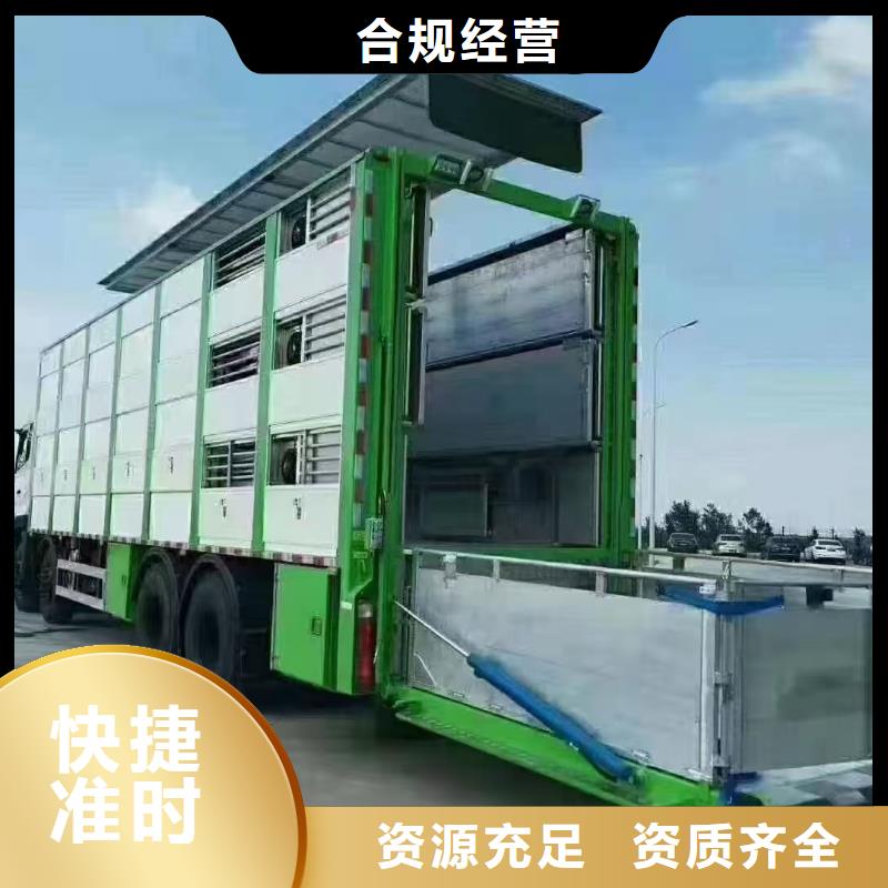 宿遷市泗陽到畜禽運輸信譽卓著