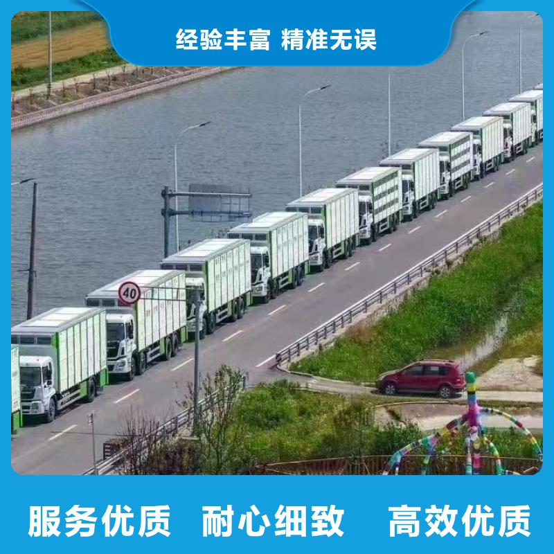 宿遷市沭陽到種豬空調車運輸團隊專業