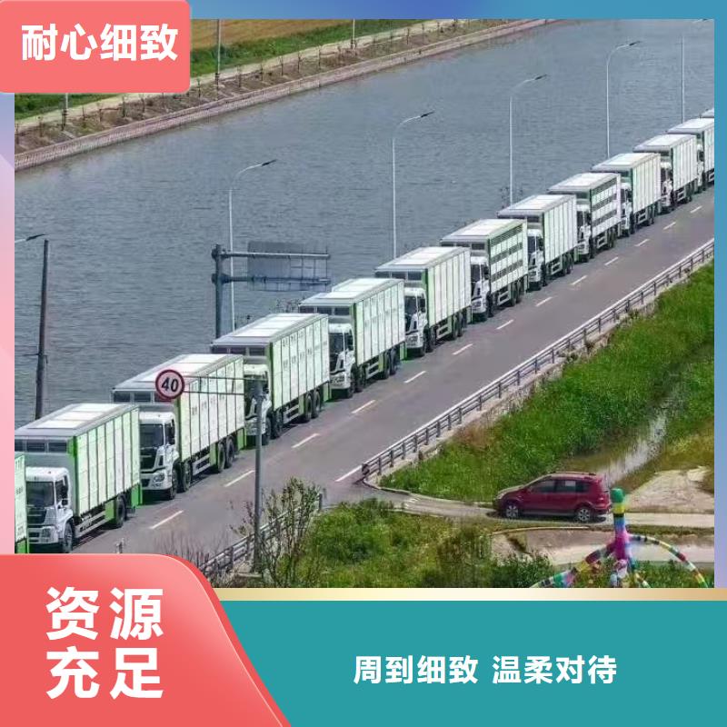 宿遷市到豬牛羊運輸實力雄厚
