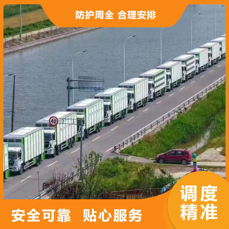 宿遷市泗洪到豬運(yùn)輸品牌知名