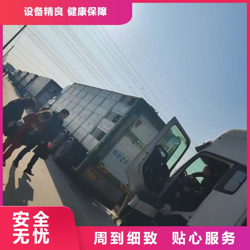 宿遷市沭陽到生豬恒溫車運輸周到細致