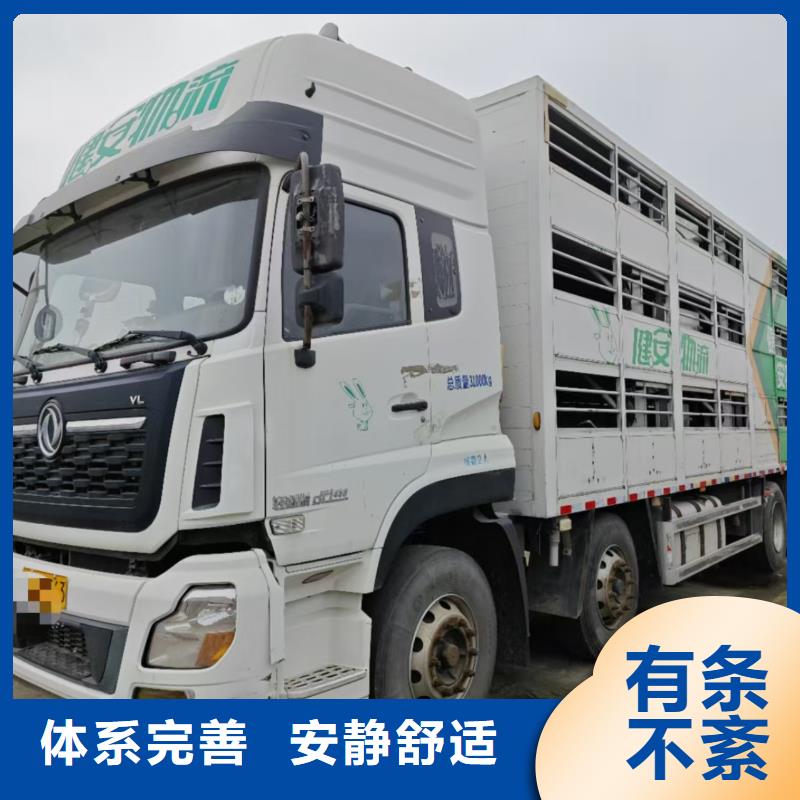 宿遷市泗陽到仔豬恒溫車運(yùn)輸合理
