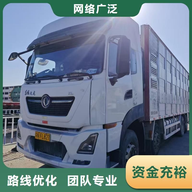 宿遷市泗陽到仔豬運輸照料精心