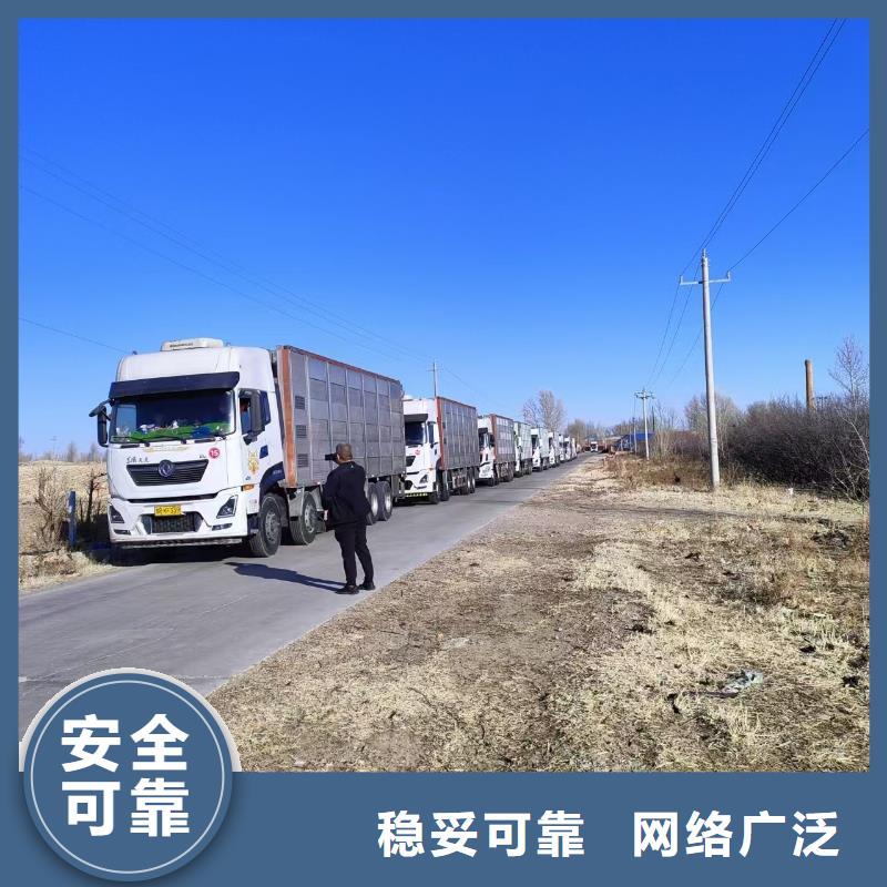 宿遷市沭陽到種豬空調車運輸團隊專業
