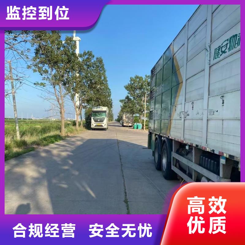 宿遷市沭陽到仔豬運輸快捷