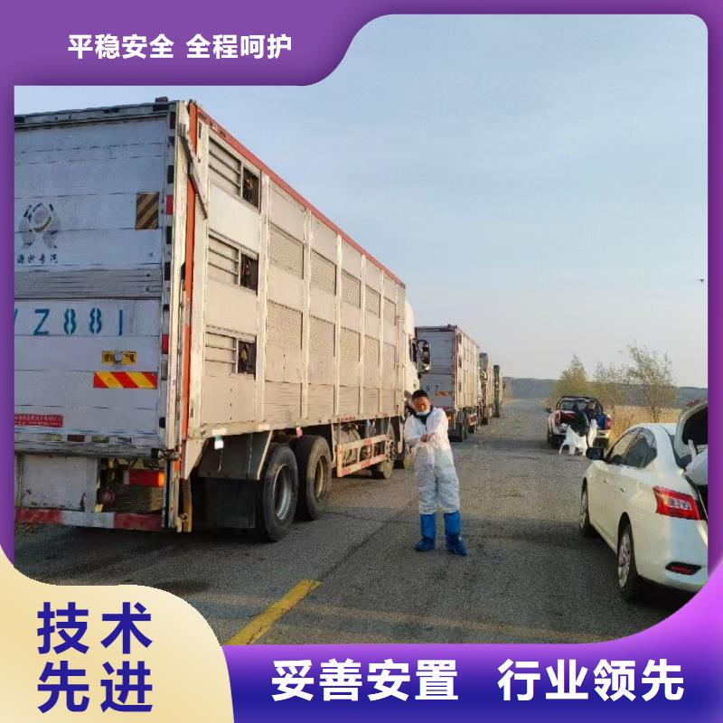 宿遷市沭陽(yáng)到恒溫車運(yùn)輸及時(shí)送達(dá)
