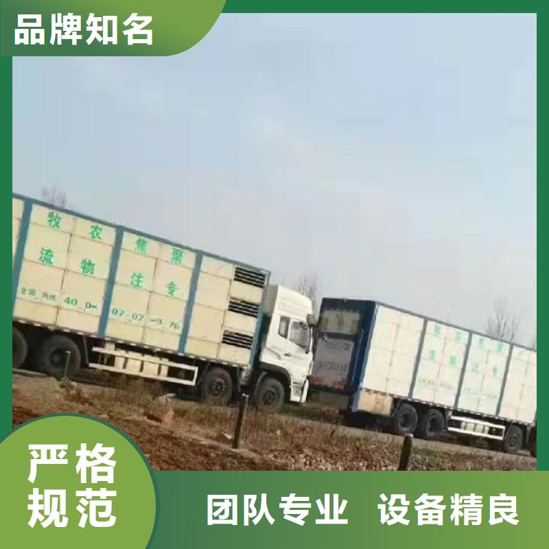 宿遷市沭陽到豬牛羊運輸規模宏大