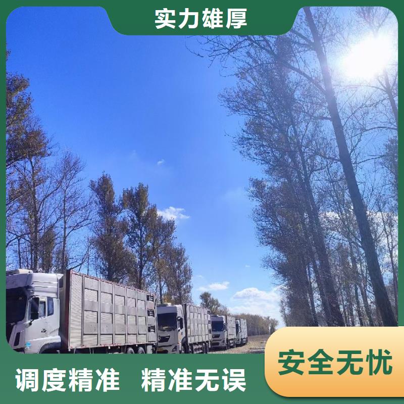 宿遷市沭陽到仔豬運輸快捷