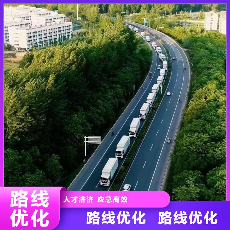 宿遷市沭陽到仔豬運輸快捷