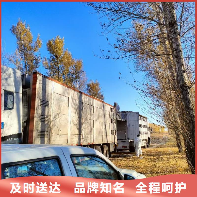 宿遷市泗陽(yáng)到仔豬恒溫車運(yùn)輸合理