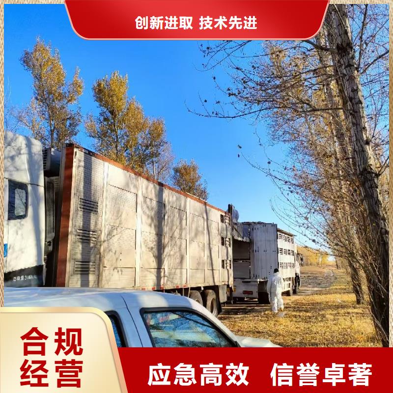 宿遷市泗陽到仔豬運輸照料精心