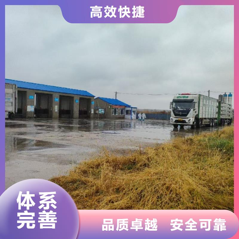 宿遷市沭陽到種豬空調車運輸團隊專業