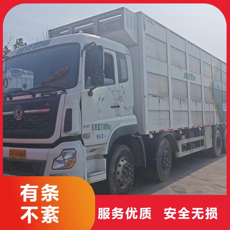 宿遷市泗洪到豬運(yùn)輸品牌知名
