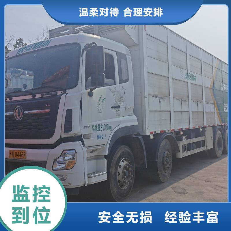 宿遷市泗陽到仔豬運輸照料精心