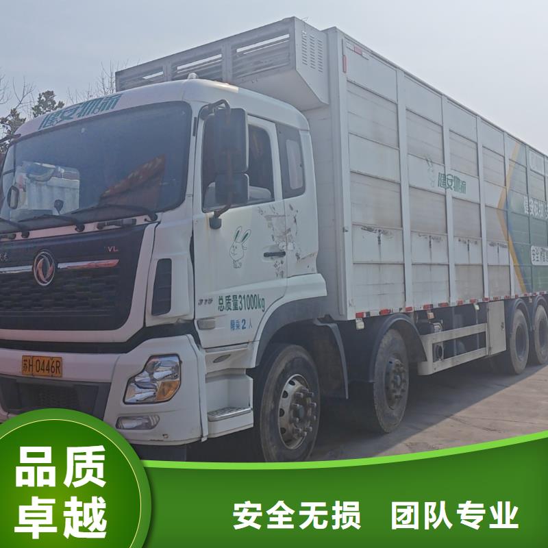 宿遷市到豬籠車運輸快捷
