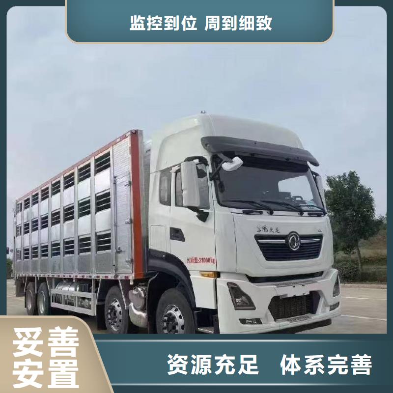宿遷市到豬籠車運輸快捷