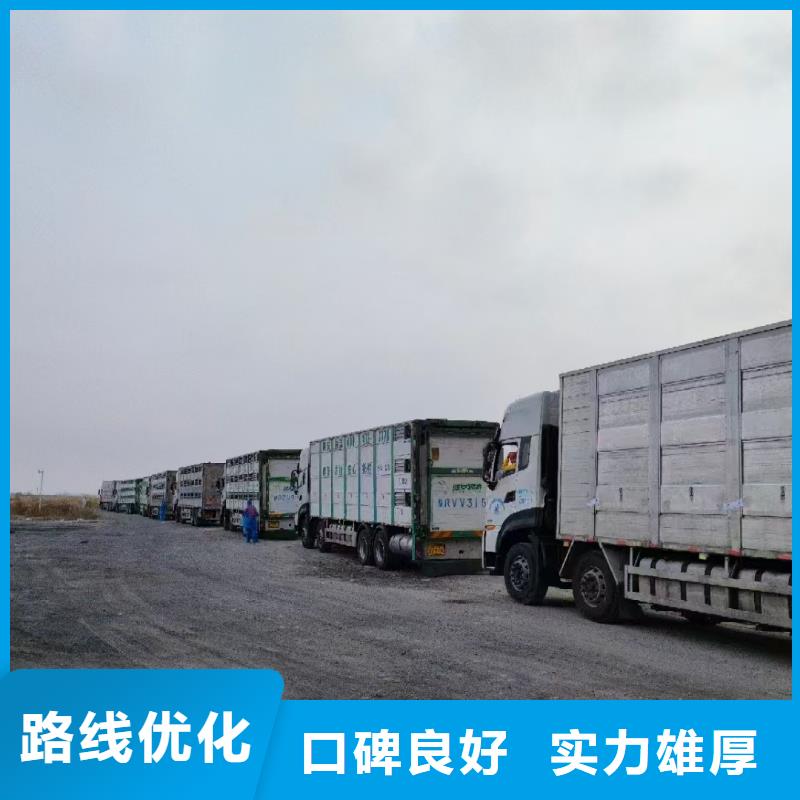 宿遷市到豬牛羊運輸實力雄厚