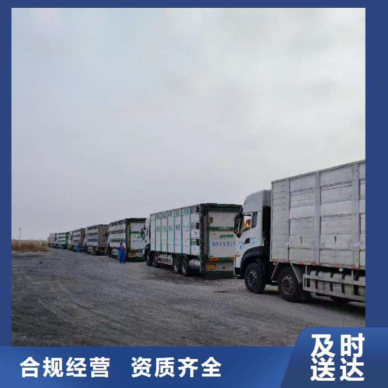 宿遷市到豬牛羊運輸實力雄厚