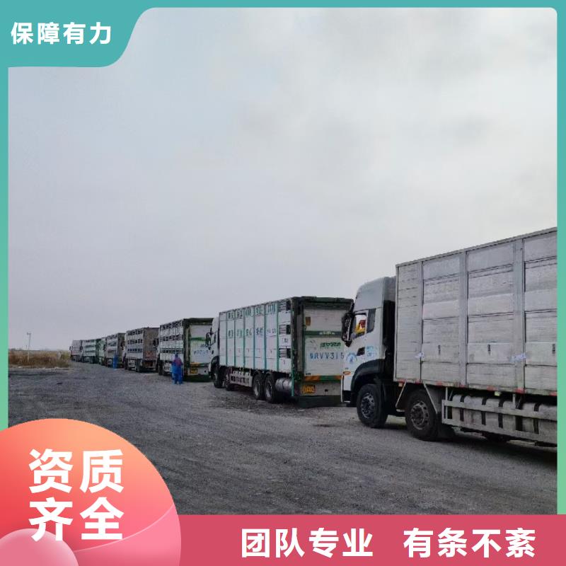 宿遷市到豬籠車運輸快捷
