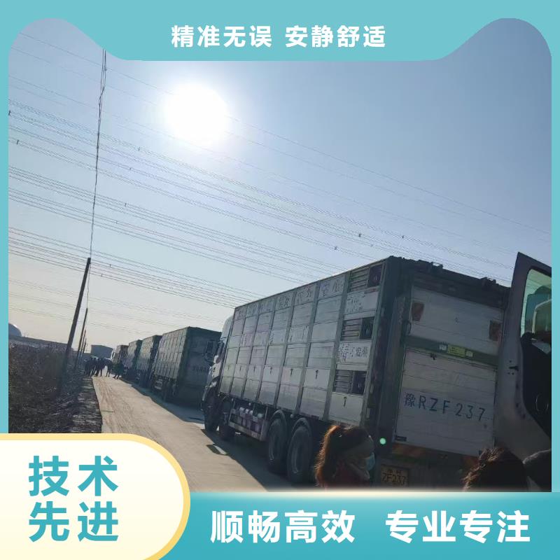 宿遷市到豬籠車運輸快捷