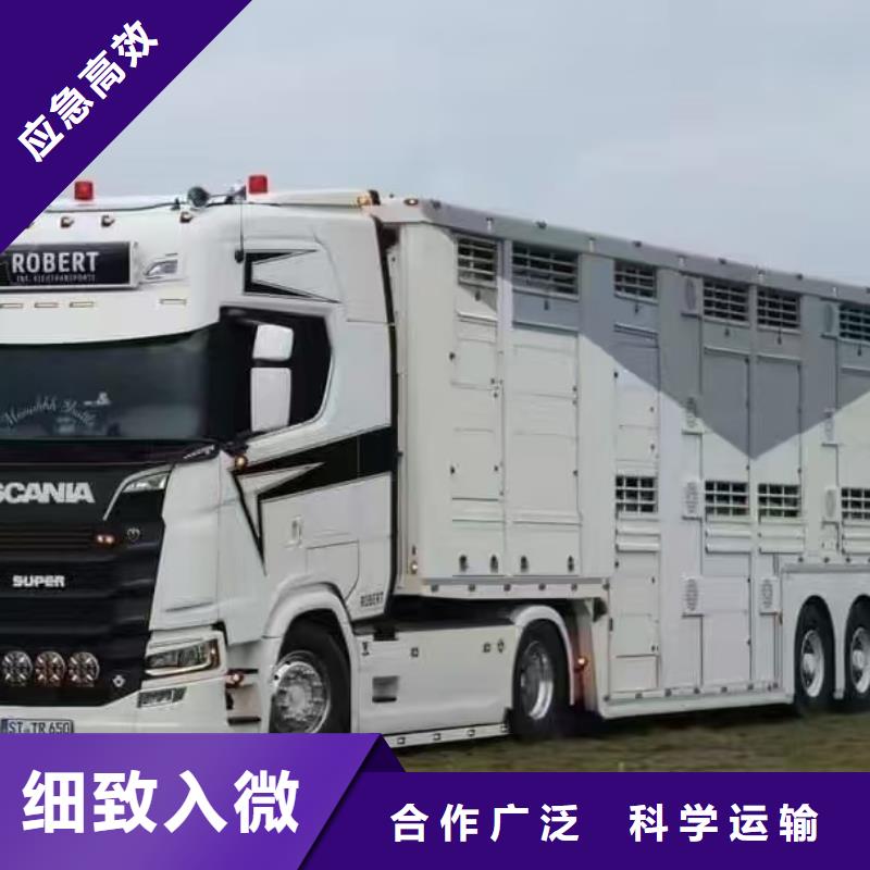 宿遷市泗陽(yáng)到仔豬恒溫車運(yùn)輸合理