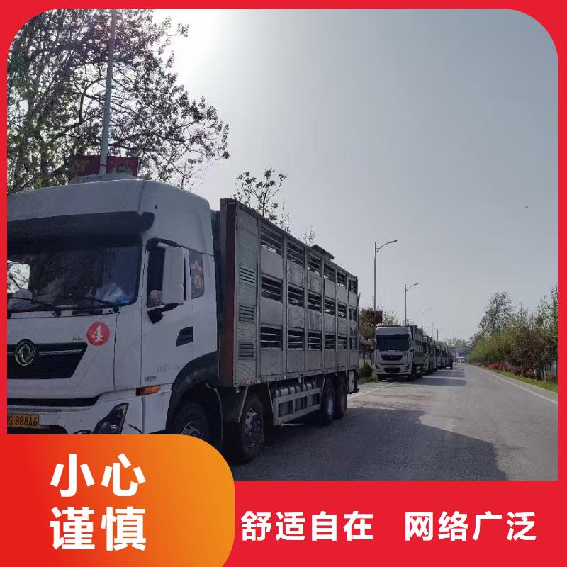 宿遷市泗陽到空調(diào)車運輸路線優(yōu)化