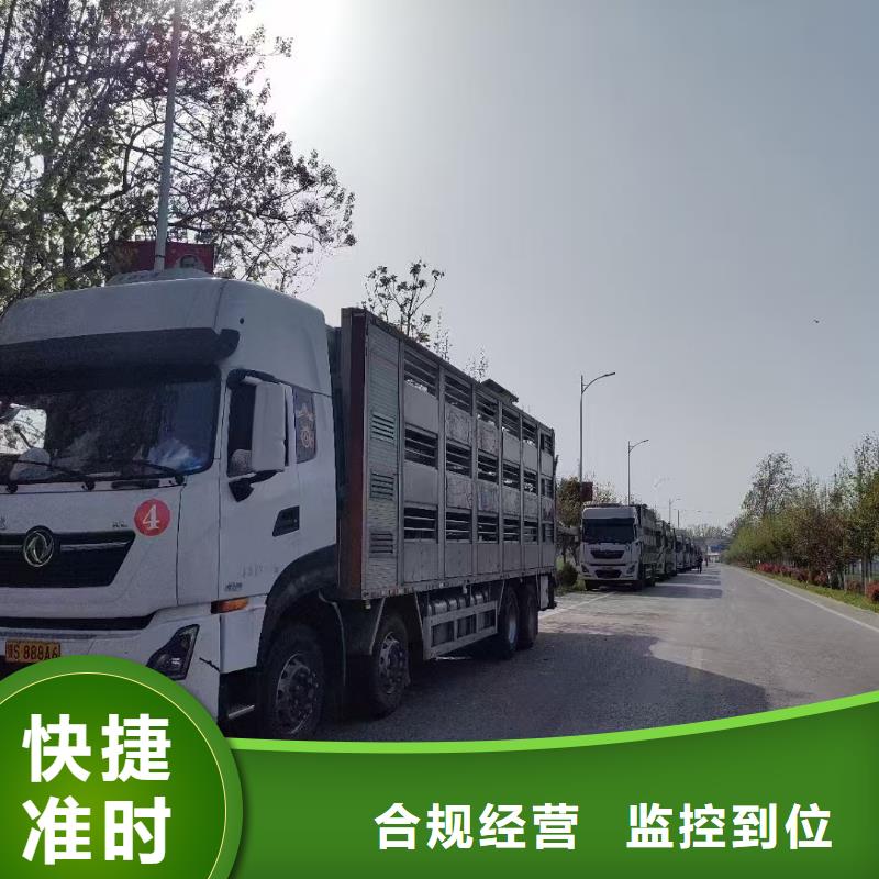 宿遷到牛運輸服務(wù)零距離