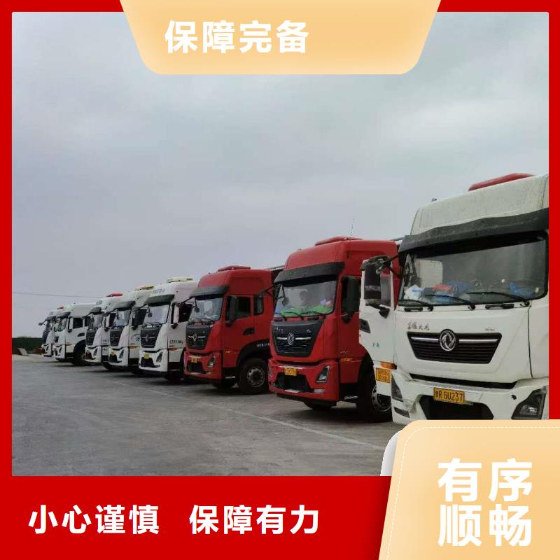 宿遷市沭陽到生豬恒溫車運輸周到細致