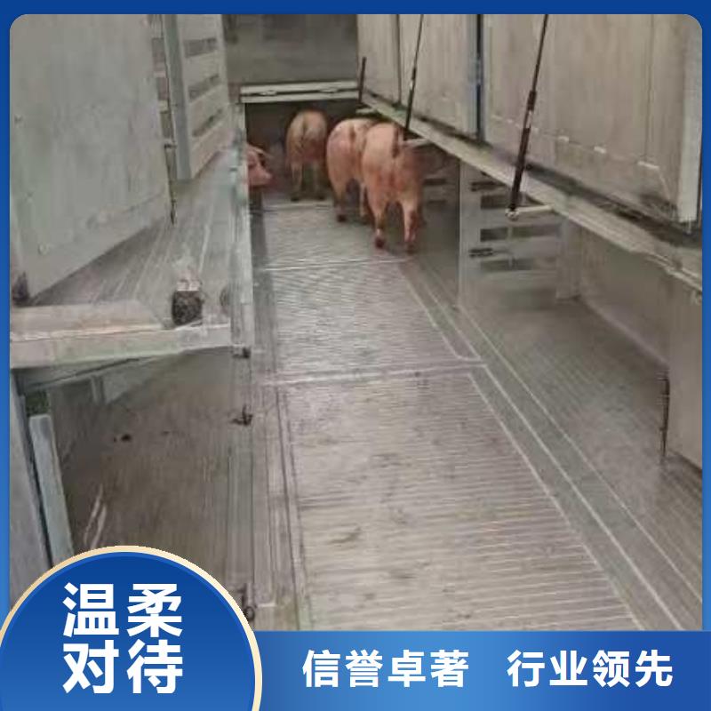 宿遷市沭陽到豬牛羊運輸規模宏大