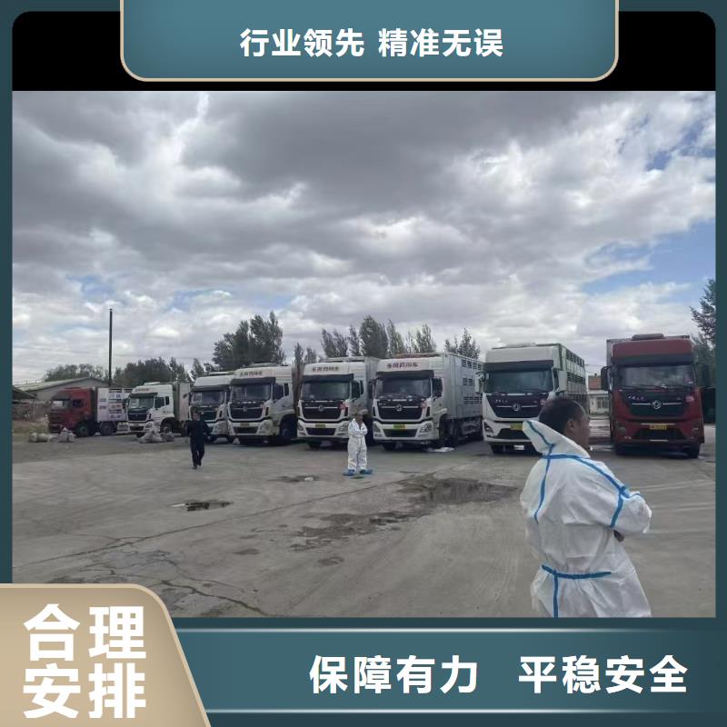 宿遷市到豬籠車運輸快捷