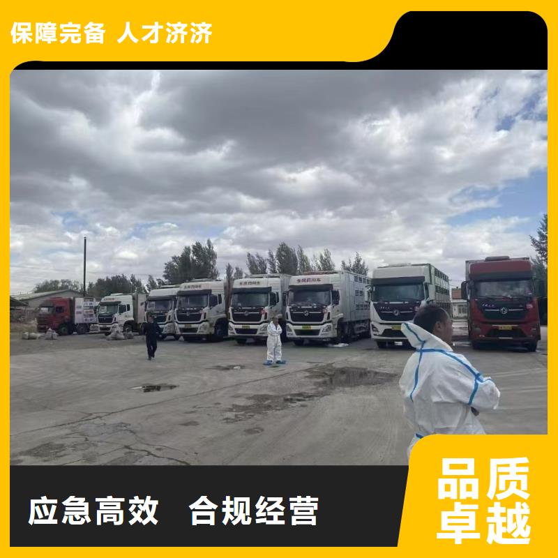 宿遷市泗洪到豬運(yùn)輸品牌知名