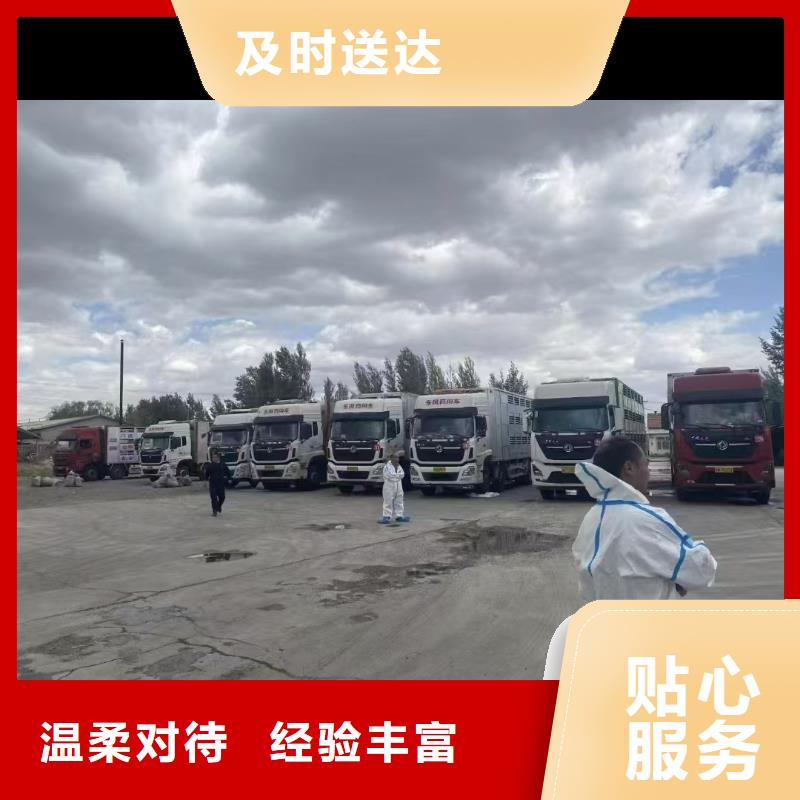 宿遷到生豬物流當(dāng)日發(fā)車