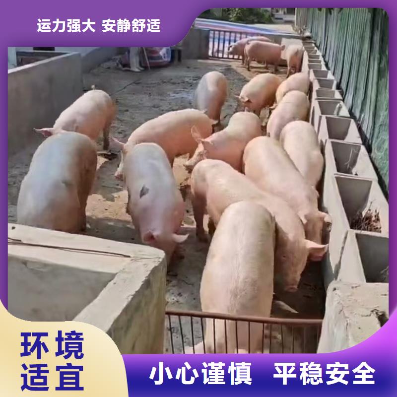 宿遷市沭陽(yáng)到恒溫車運(yùn)輸及時(shí)送達(dá)