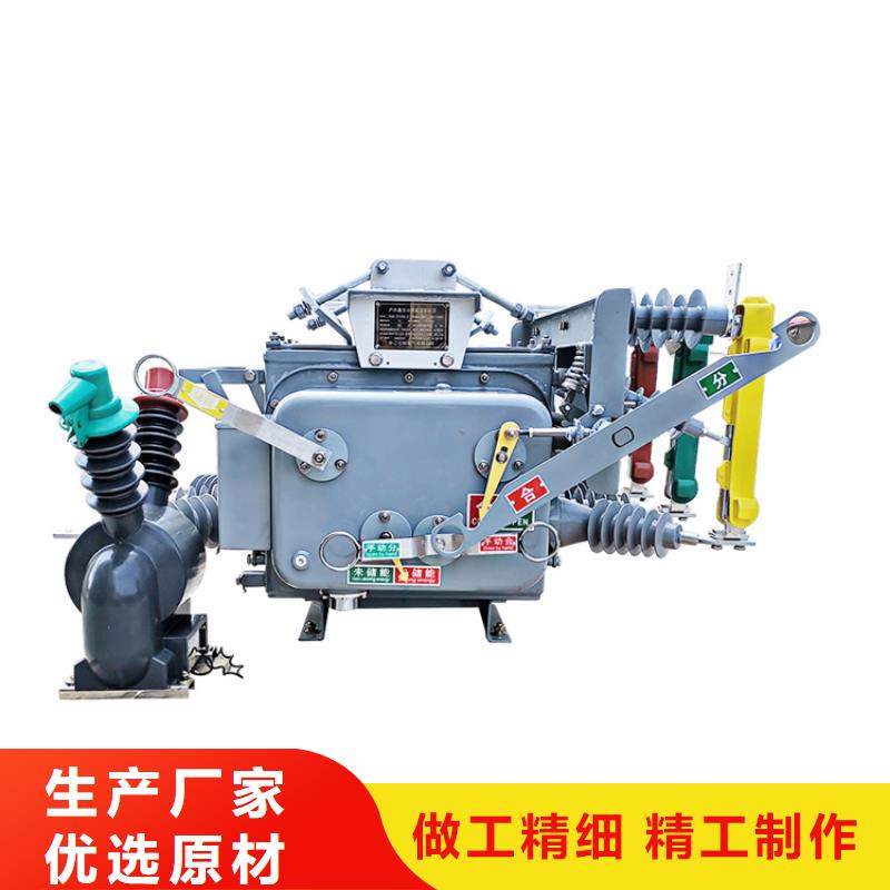亳州ZW8-12F/T1250-31.5真空斷路器源頭廠家