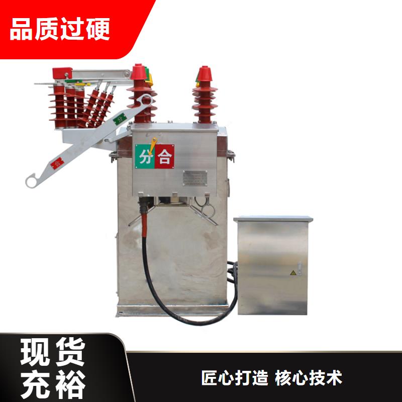 嘉興ZWM9-12/630型永磁真空斷路器真空斷路器全新配件