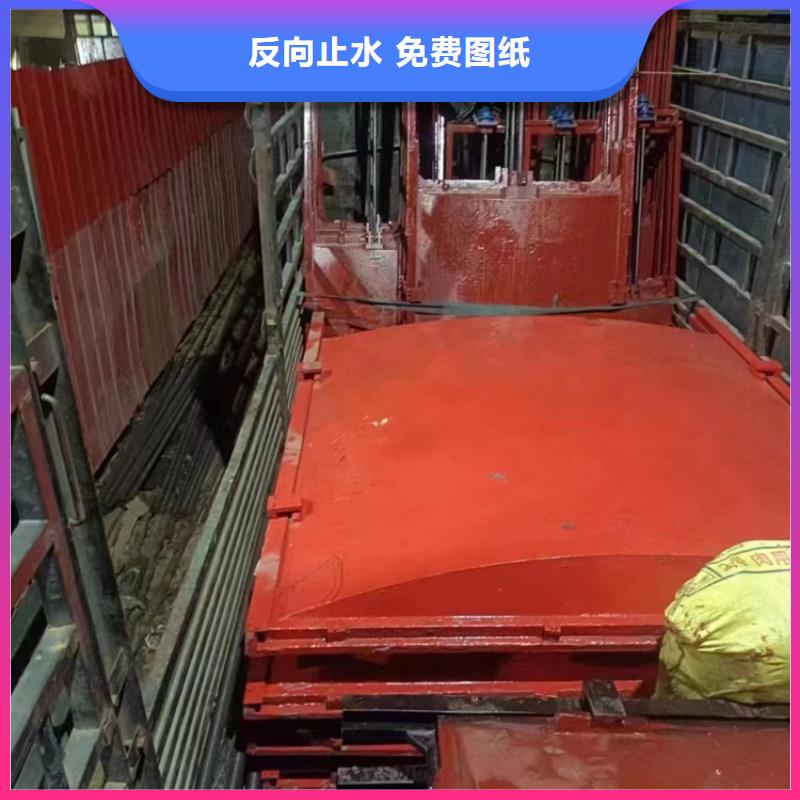 丽江市政建设闸门启闭机畅销所省