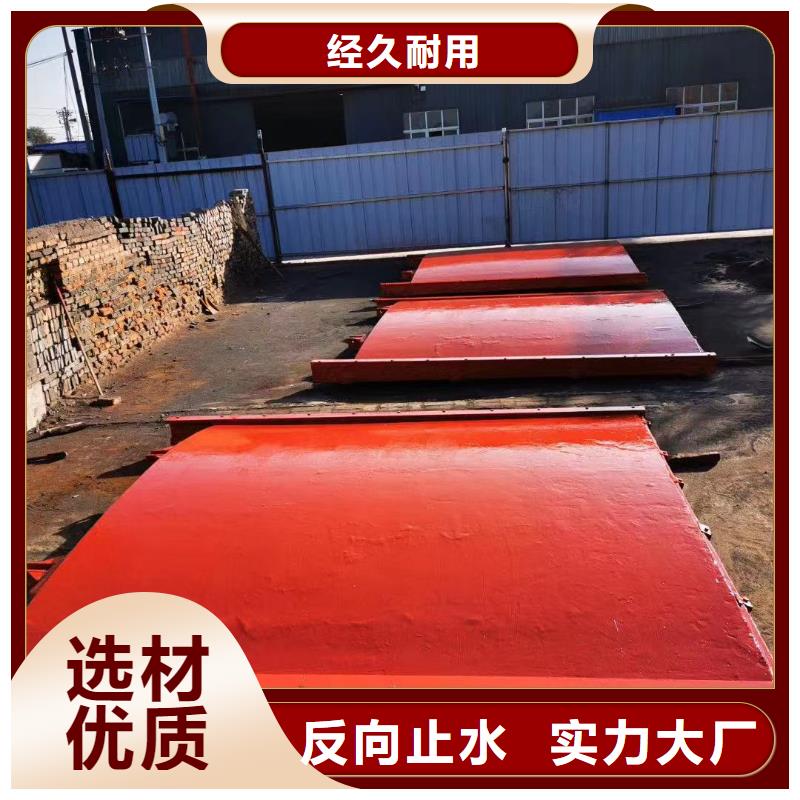 张家界水产养殖暗杆式铸铁镶铜闸门型号齐全