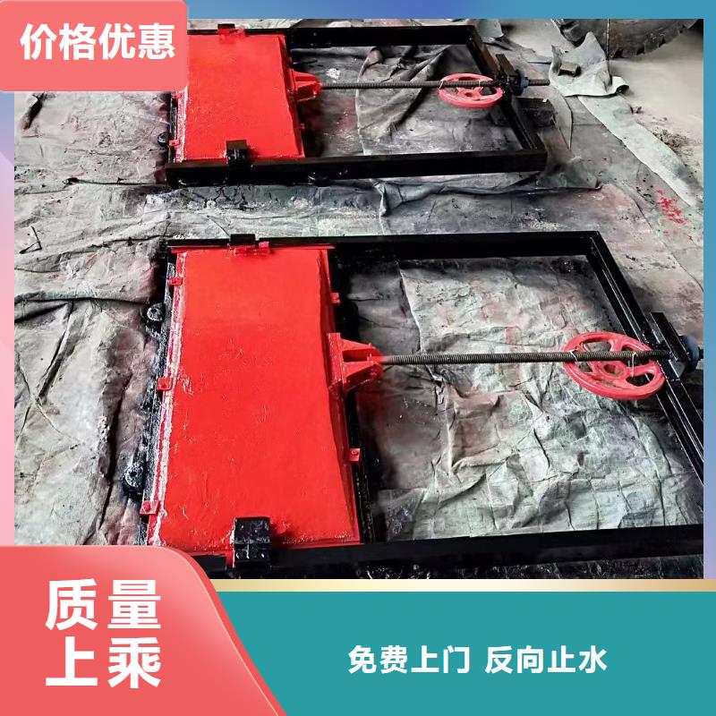 重庆水库铸铁镶铜闸门畅销所省